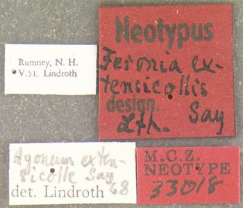Media type: image;   Entomology 33018 Aspect: labels